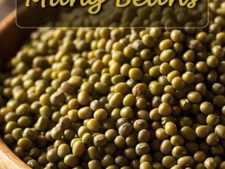 How To Grow Mung Beans