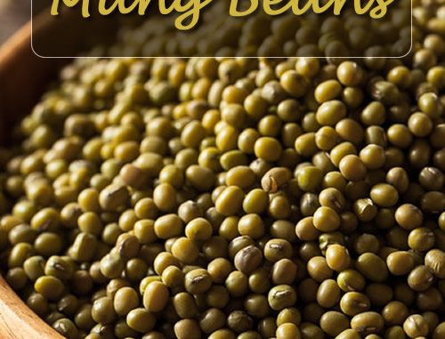 How To Grow Mung Beans