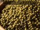 How To Grow Mung Beans