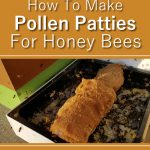 How To Make Pollen Patties For Bees
