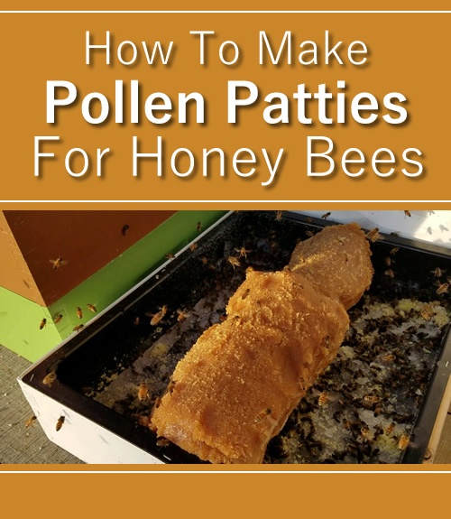 How To Make Pollen Patties For Bees