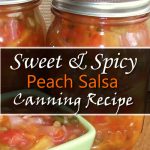 Peach Salsa Canning Recipe
