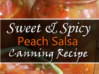 Peach Salsa Canning Recipe