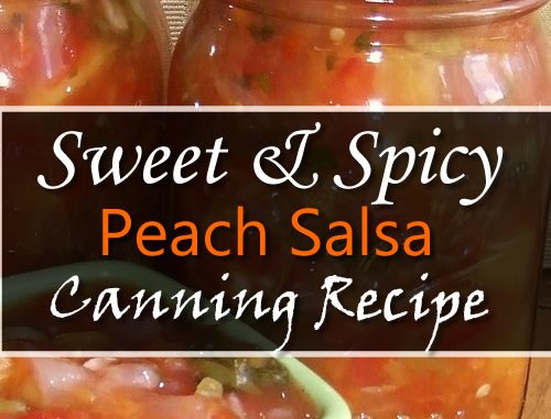 Peach Salsa Canning Recipe