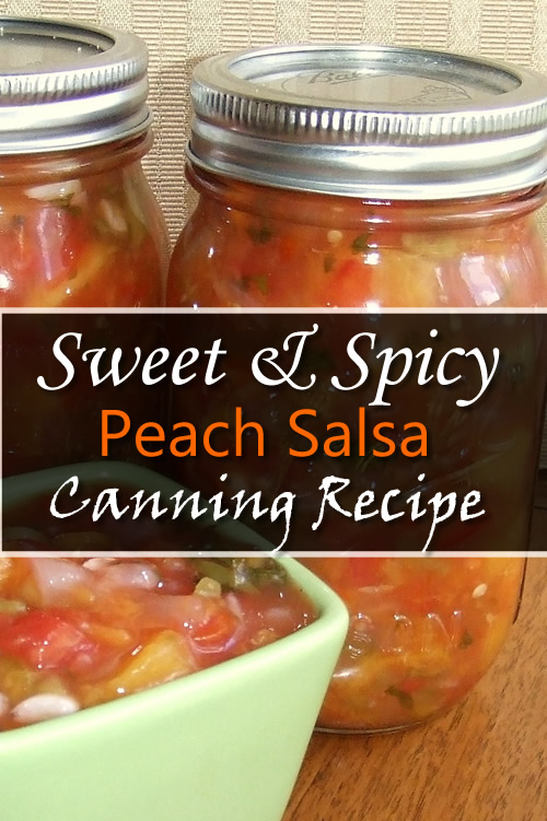 Sweet & Spicy Peach Salsa Canning Recipe