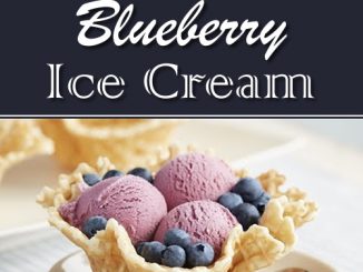 Homemade Blueberry Ice Cream Recipe
