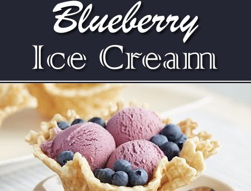 Homemade Blueberry Ice Cream Recipe