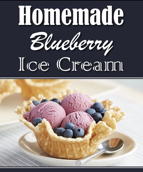 Homemade Blueberry Ice Cream Recipe
