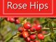 How To Grow Rose Hips