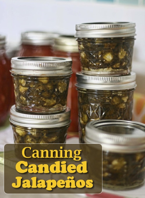 Canning Candied Jalapeños