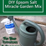 DIY Epsom Salt Miracle Garden Mix