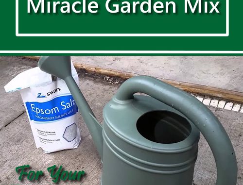DIY Epsom Salt Miracle Garden Mix