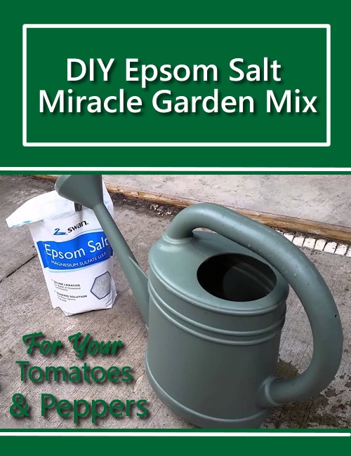 DIY Epsom Salt Miracle Garden Mix