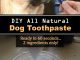 Homemade All Natural Dog Toothpaste