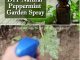 DIY Natural Peppermint Garden Spray