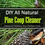 DIY Natural Pine Coop Cleaner Recipe