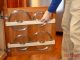 DIY Pot Lid Holder Plans