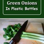 How To Freeze Green Onions In Plastic Bottles