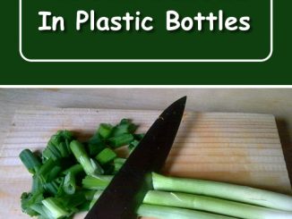 How To Freeze Green Onions In Plastic Bottles