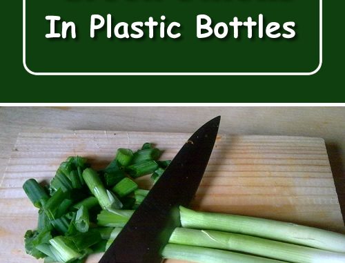 How To Freeze Green Onions In Plastic Bottles