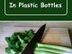 How To Freeze Green Onions In Plastic Bottles