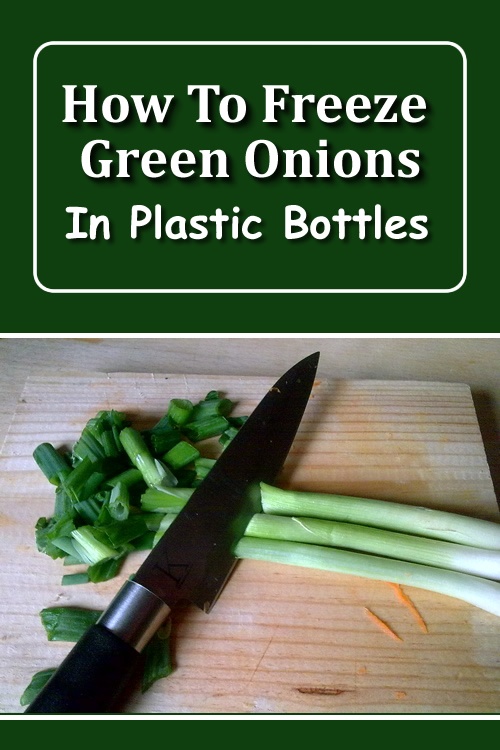 How To Freeze Green Onions In Plastic Bottles