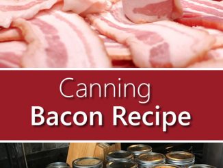 Canning Bacon Recipe