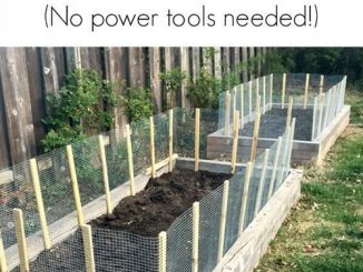 DIY Fence For Raised Garden Beds