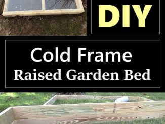 DIY Cold Frame Raised Garden Bed