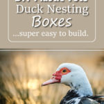 DIY Plastic Tote Duck Nesting Boxes