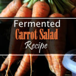 Fermented Carrot Salad Recipe