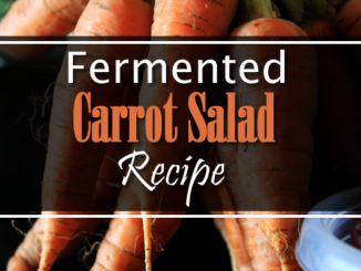 Fermented Carrot Salad Recipe