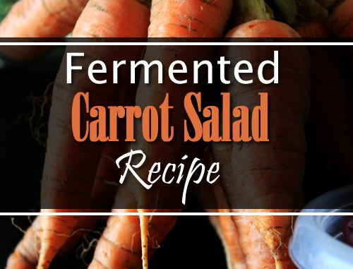 Fermented Carrot Salad Recipe