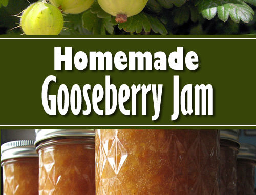 Homemade Gooseberry Jame Recipe