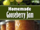 Homemade Gooseberry Jame Recipe