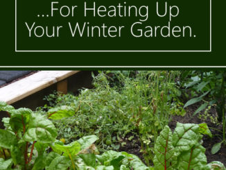 How To Build A Hotbed