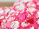 Valentine Crinkle Cookies Recipe