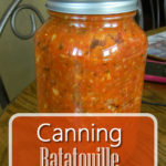 Canning Ratatouille Recipe