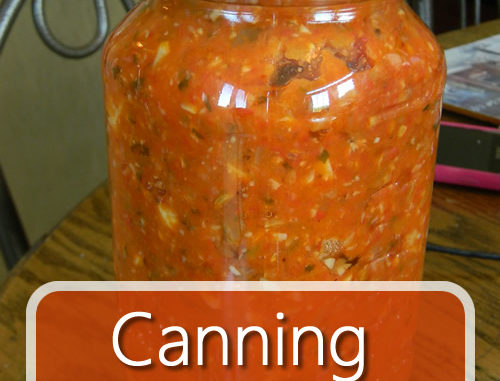Canning Ratatouille Recipe