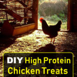 DIY High Protein Chicken Treats Platter Recipe