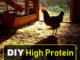 DIY High Protein Chicken Treats Platter Recipe