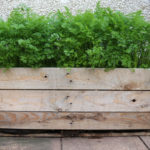 DIY Wood Pallet Planter
