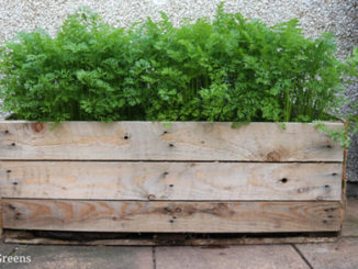 DIY Wood Pallet Planter