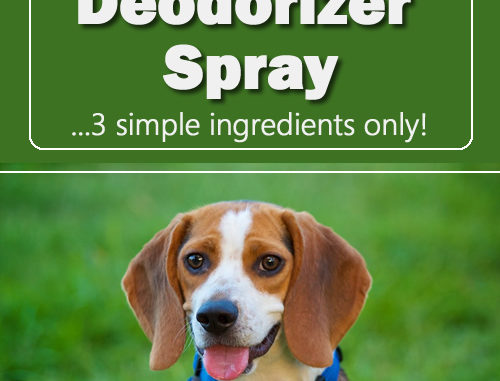 DIY Dog Deodorizer Spray