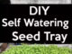 DIY Self Watering Seed Starting Tray
