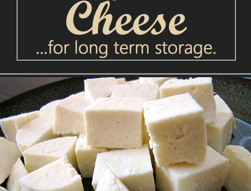 How To Dehydrate Cheese