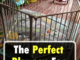 The Perfect Playpen for Your Child