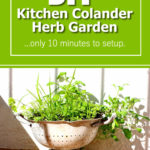 DIY Kitchen Colander Herb Garden