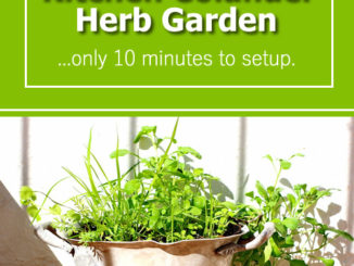 DIY Kitchen Colander Herb Garden