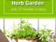 DIY Kitchen Colander Herb Garden